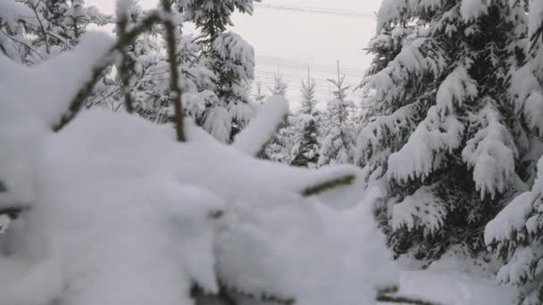 奥地利卡普龙梅斯科格尔滑雪度假村雪原森林中缓拍男子滑雪与波兰人同行的镜头 — 图库视频影像