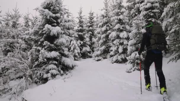 マスコゲルスキー場の雪に覆われた森が 静的ワイドスローモーションショット カプラン オーストリア — ストック動画