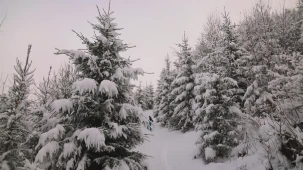 マスコゲルスキー場の雪に覆われた森を通って男スキーツアーのワイドスローモーションハンドヘルドショット カプラン オーストリア — ストック動画