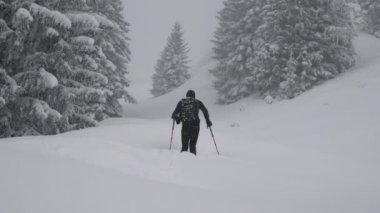 Geniş Yavaş Hareketli Kayak İzleme Kayağı Kayak Çekimi Karla kaplı Maiskogel Kayak Ormanı, Kaprun, Avusturya