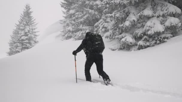 マスコゲルスキー場の雪に覆われた森の中をスキーツアーUphillの広いスローモーショントラッキングハンドヘルドショット カプラン オーストリア — ストック動画