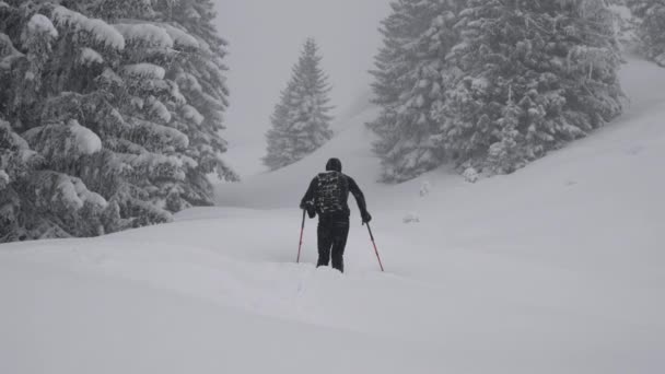 奥地利卡普龙 梅斯科格尔滑雪度假村 雪原森林中的男子滑雪者徒步旅行的宽慢动作跟踪手持射击 — 图库视频影像