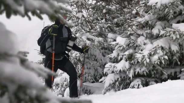 奥地利卡普龙梅斯科格尔滑雪度假村白雪覆盖的森林中慢动作跟踪手持射击人类滑雪板爬行 — 图库视频影像