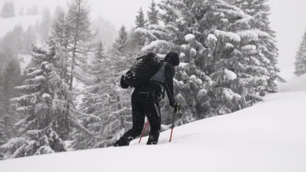 Weite Zeitlupe Handheld Shot Man Skitouren Bergauf Durch Den Verschneiten — Stockvideo