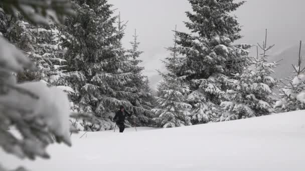 雪に覆われたマイスコゲルスキー場 カプラン オーストリアの森を通って人スキーツアーUphillの広いスローモーションハンドヘルドトラッキングショット — ストック動画
