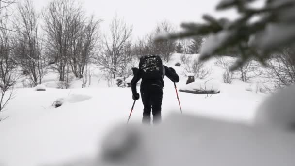 슬로우 로다운 Man Ski Touring Snow Covered Forest Maiskogel Ski — 비디오