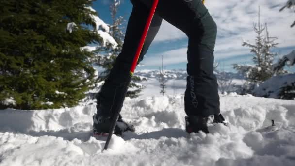 Medium Slow Motion Tracking Low Angle Shot Man Ski Touring — Video Stock