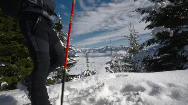 Medium Slow Motion Tracking Low Angle Shot Man Ski Touring — 비디오