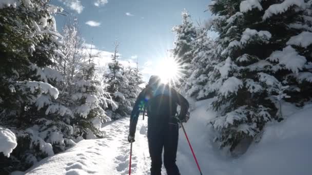雪に覆われたオーストリア カプランのマイスコゲルスキーリゾートの森を通って 男のスキーツアーUphillのワイドスローモーショントラッキングショット — ストック動画