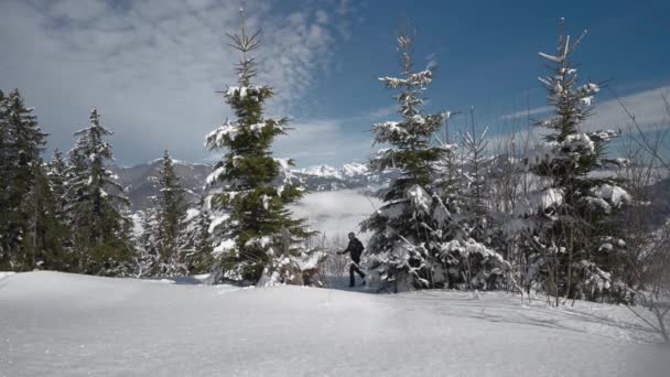 マスコゲルスキー場の雪に覆われた森 カプラン オーストリアを通って男スキーツアーUphillのワイドスローモーションロックダウンショット — ストック動画