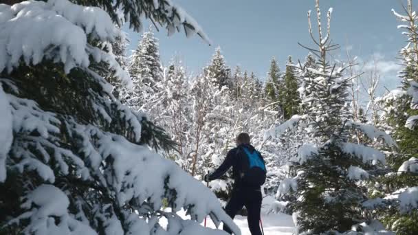 Amplia Cámara Lenta Lockdown Shot Man Ski Touring Uphill Sunlit — Vídeos de Stock