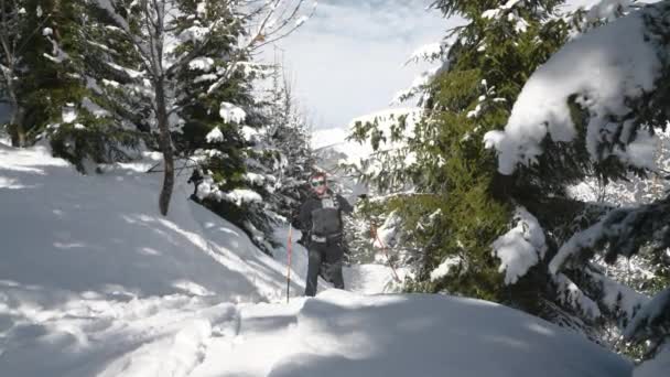 奥地利卡普龙 梅斯科格尔滑雪度假村 阳光充足的白雪覆盖森林中人类滑雪旅行的宽慢动作跟踪镜头 — 图库视频影像