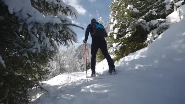 奥地利卡普龙市迈斯科格尔滑雪度假村阳光普照的雪原森林中 人类滑雪运动的宽慢动作手持低角射击 — 图库视频影像