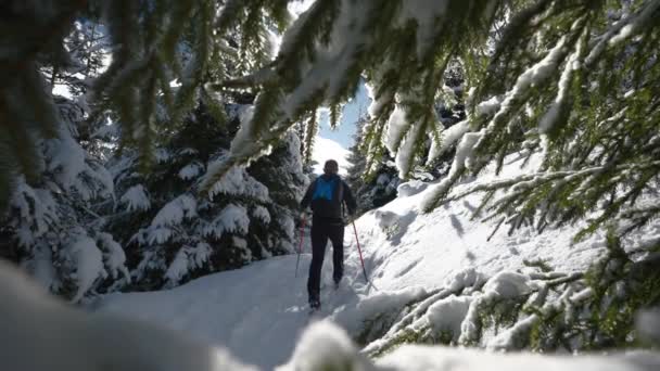 奥地利卡普龙 梅斯科格尔滑雪度假村 阳光充足的白雪覆盖森林中人类滑雪旅行的宽慢动作跟踪镜头 — 图库视频影像