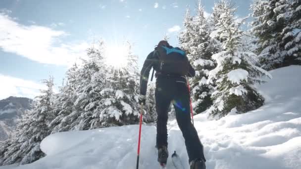 奥地利卡普龙市迈斯科格尔滑雪度假村阳光普照的雪原森林中 人类滑雪运动的宽慢动作手持低角射击 — 图库视频影像