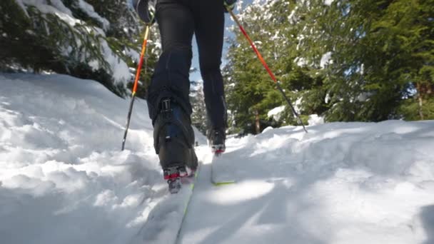 Wide Slow Motion Handheld Low Angle Shot Man Ski Touring — Αρχείο Βίντεο