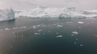 Ilulissat Icefjord, Unesco Dünya Mirası Bölgesi, Grönland 'ın buzuna doğru uçan kuş sürüsü.