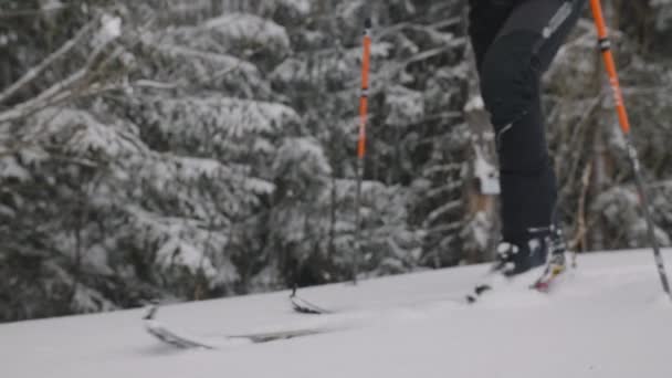 奥地利卡普龙梅斯科格尔滑雪度假村白雪覆盖的森林中慢动作射击人类滑雪板滑行 — 图库视频影像