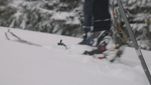 Närbild Lockdown Skott Man Ski Touring Genom Snötäckt Skog Maiskogel — Stockvideo