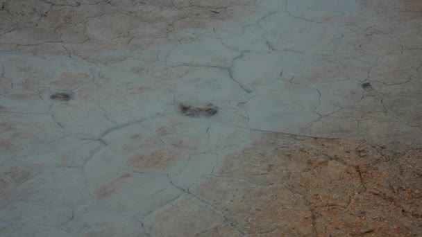 Close Tiro Lama Seca Rachada Hverir Geothermal Area Perto Lago — Vídeo de Stock