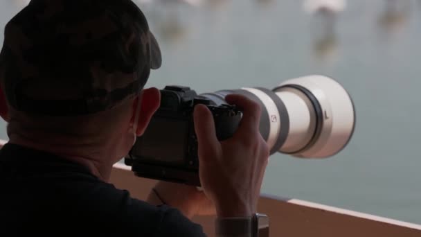 Close Slow Motion Shot Photographer Man Fotografowanie Flamingów Specjalnego Punktu — Wideo stockowe