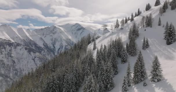 Wide Drone Winter Forest Kitzsteinhorn Mountain High Tauern Range Central — стокове відео