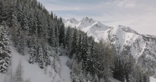 Wide Drone Flight Winter Forest Kitzsteinhorn Mountain High Tauern Range — стокове відео