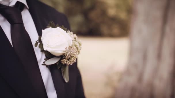 Grooms Buttonhole Made Out White Rose Close Bokeh Shot — Stock Video