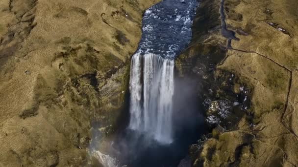 スコガフォス滝とアイスランドの川の空中ビュー 息をのむような風景 高角度ワイドショット カメラがゆっくりとズームアウト — ストック動画