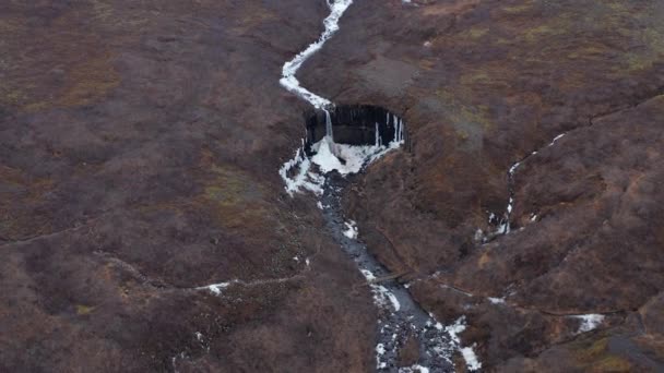 Svartifoss滝と玄武岩溶岩列の空中ビュー壮大な風景 アイスランドのヴァトナヨークトル国立公園 カメラはゆっくりとズームします パノラマワイドショット — ストック動画