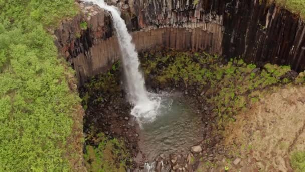 Vista Aérea Una Cascada Svartifoss Columnas Lava Basalto Paisaje Épico — Vídeos de Stock