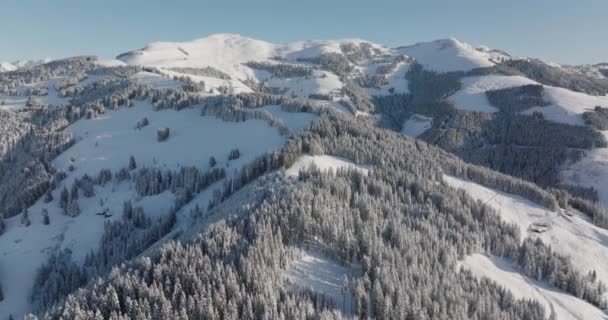 雪に覆われたZell Amの山々の森の上の広いドローン See Kaprun Salzburg Austria — ストック動画