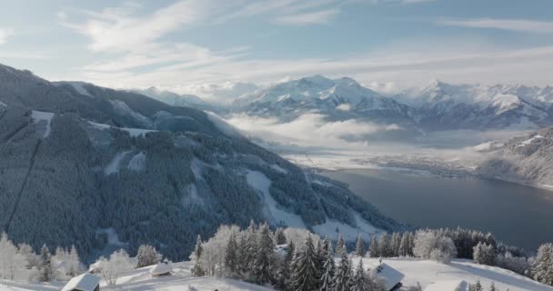 Wide Drone Snow Covered Tree Mountain Top Zell See Kaprun — Stockvideo