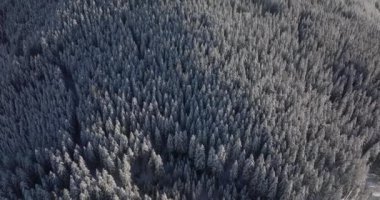 Kitzsteinhorn Dağı 'ndaki Ormanların Üzerindeki Geniş İHA Uçuşu, Yüksek Tauern Sıradağları, Orta Doğu Alpleri, Avusturya