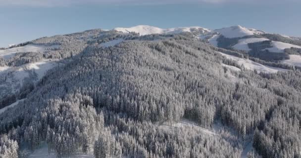 Large Drone Flight Hiver Dessus Des Forêts Sur Montagne Kitzsteinhorn — Video