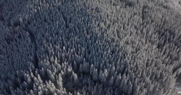 Amplio Vuelo Drones Invierno Sobre Bosques Montaña Kitzsteinhorn Cordillera Alta — Vídeos de Stock