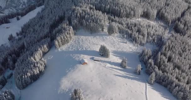 Amplio Vuelo Drones Invierno Sobre Bosques Cabañas Pico Montaña Kitzsteinhorn — Vídeos de Stock