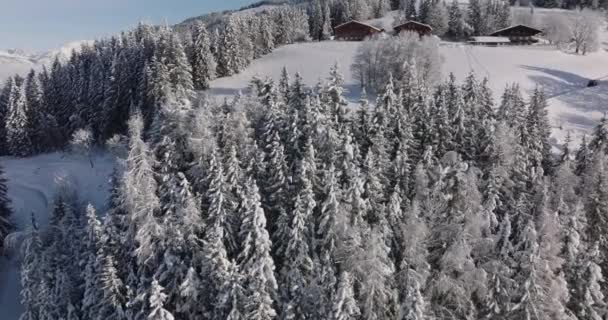 Amplio Vuelo Drones Invierno Sobre Bosques Montaña Kitzsteinhorn Cordillera Alta — Vídeos de Stock