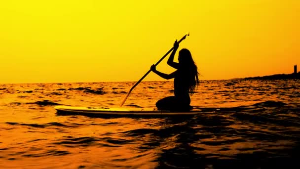 Slow Motion Tracking Wide Shot Beautiful Woman Silhouette Kneeling Surfboard — Stock Video