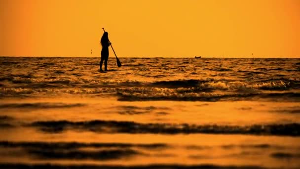 Grande Rallentamento Blocco Girato Giovane Donna Silhouette Piedi Canottaggio Paddleboard — Video Stock