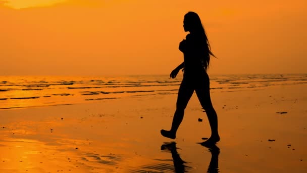 Ευρεία Παρακολούθηση Αργή Κίνηση Shot Της Νεαρής Γυναίκας Σιλουέτα Περπάτημα — Αρχείο Βίντεο