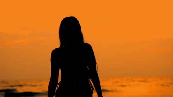 Medium Handheld Slow Motion Shot Young Woman Silhouette Walking Golden — Vídeo de Stock