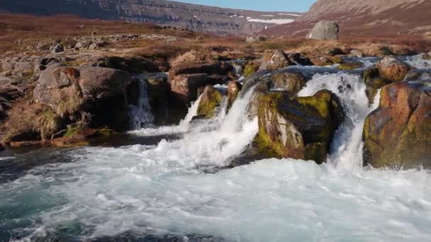 Flod Och Kaskader Dynjandi Falls Westfjords Island Spektakulär Natur Slow — Stockvideo