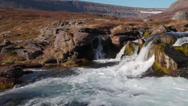 ディンジャンディ滝 西フィヨルドアイスランドの川とカスケード 壮大な自然 スローモーション静的ショット — ストック動画