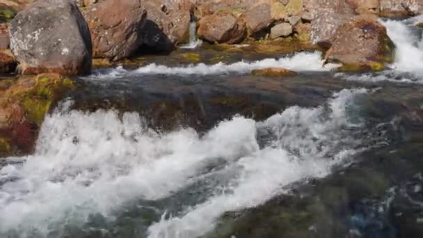 Rivière Cascades Des Chutes Dynjandi Westfjords Islande Nature Spectaculaire Eau — Video