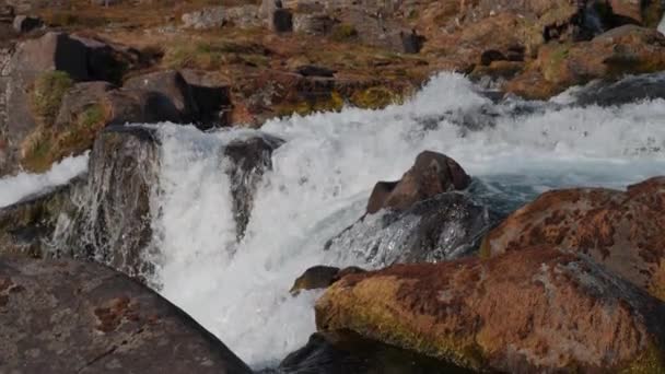 ディンジャンディ滝 西フィヨルドアイスランドの川とカスケード 壮大な自然 岩の間に水が急速に流れます スローモーションティルトアップショット — ストック動画