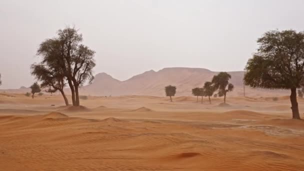 ドバイの砂漠をドライブするジープからの広いスローモーションポイント — ストック動画