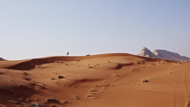 Wide Slow Motion Statisch Schot Van Mens Loopt Door Woestijn — Stockvideo