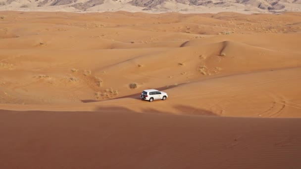 Широке Стеження Рухом Білих Джипів Їдуть Пустелі Дубаї — стокове відео