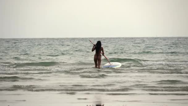 Wide Slow Motion Lockdown Shot Woman Pushing Paddleboard Προς Θάλασσα — Αρχείο Βίντεο